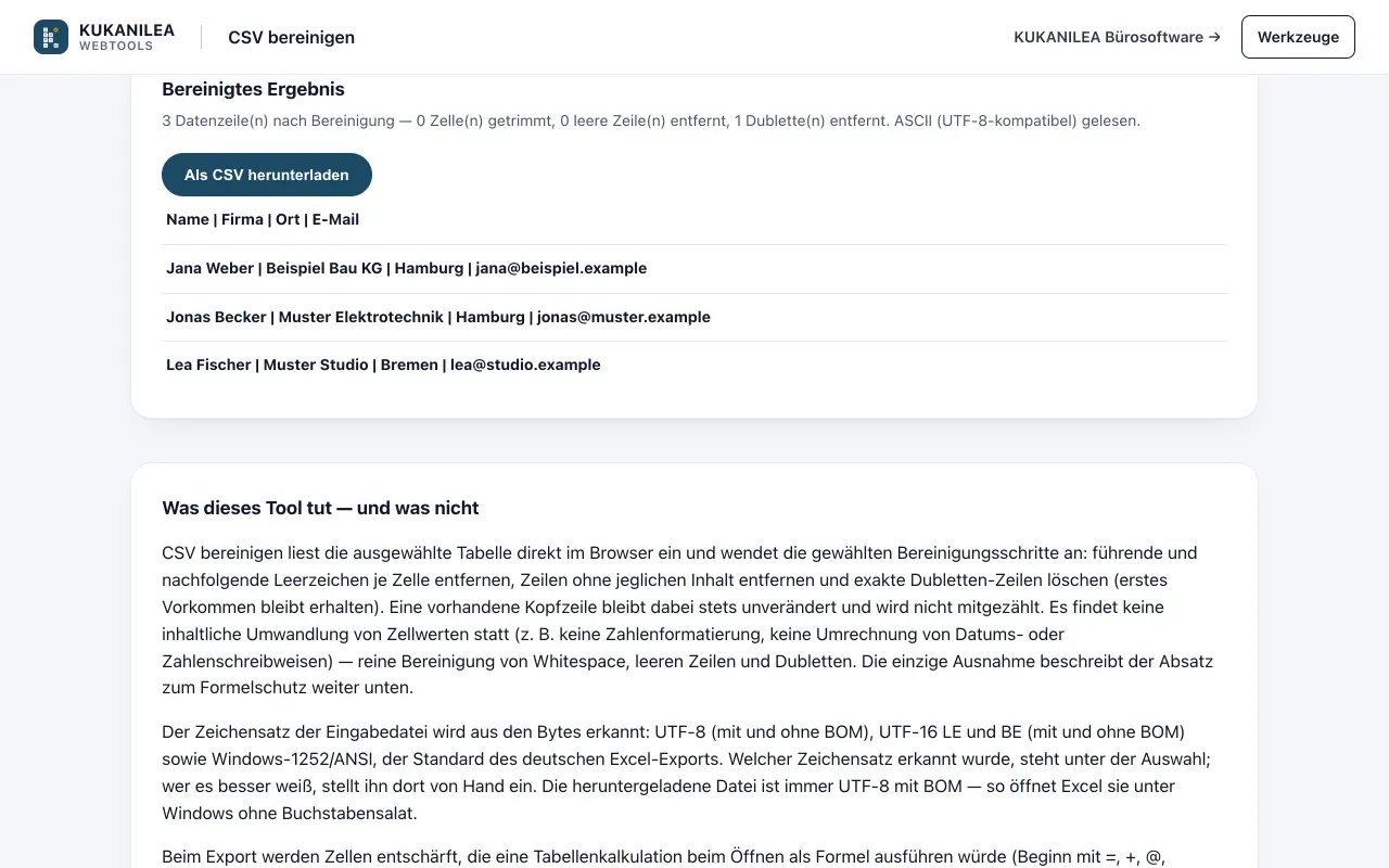 Anwendungsansicht von CSV bereinigen